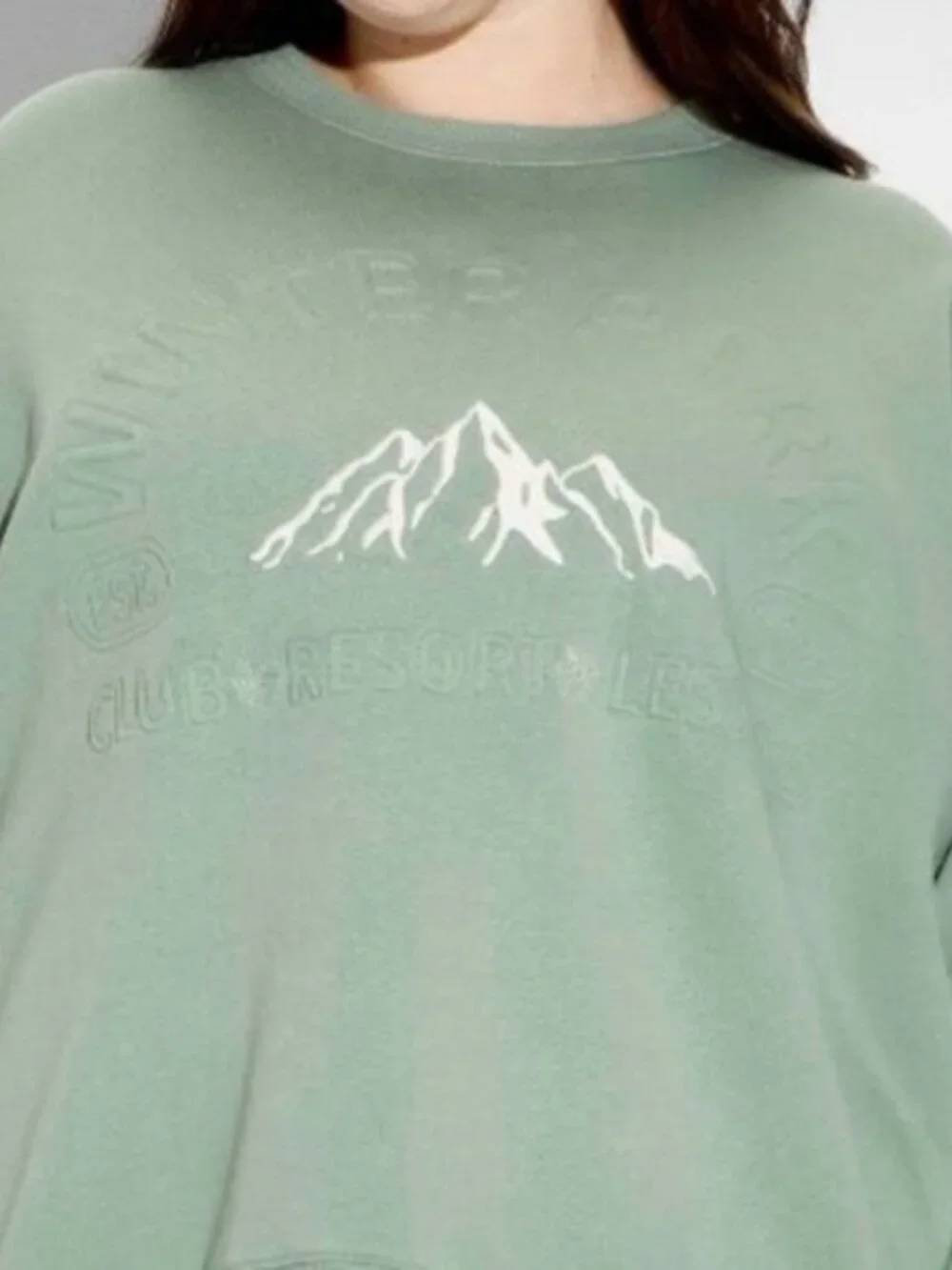 Women's Oversized Pullover Sweatshirt - Wild Fable™ Sage Green Mountain - Picture 3 of 4